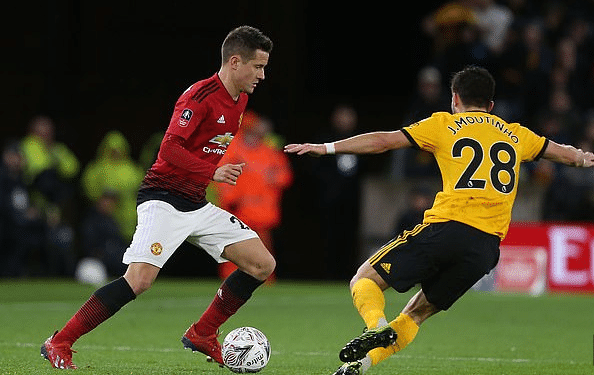 不仅因为这 不仅因为这